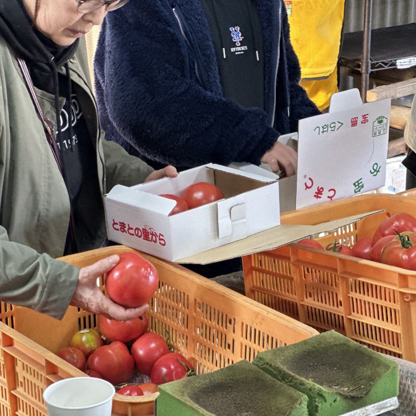 完熟トマトをお土産