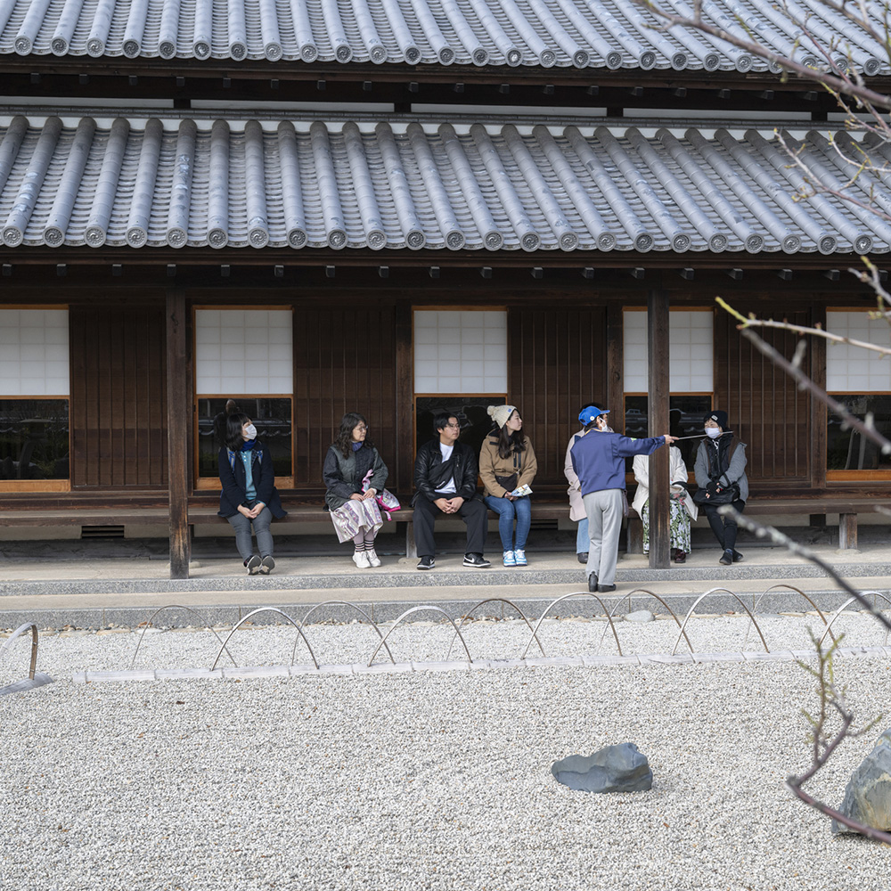 かつての役人のように瀬戸を望む