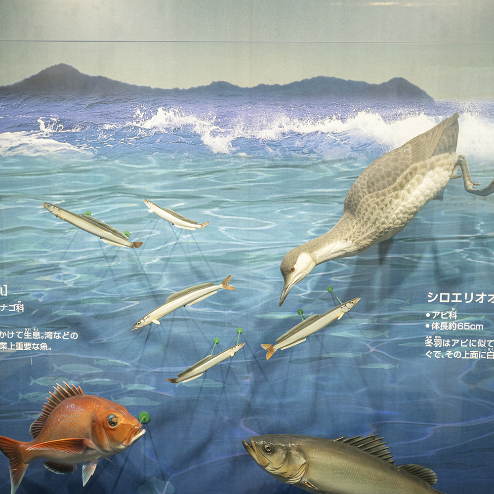 漁の様子を等身大の模型で再現