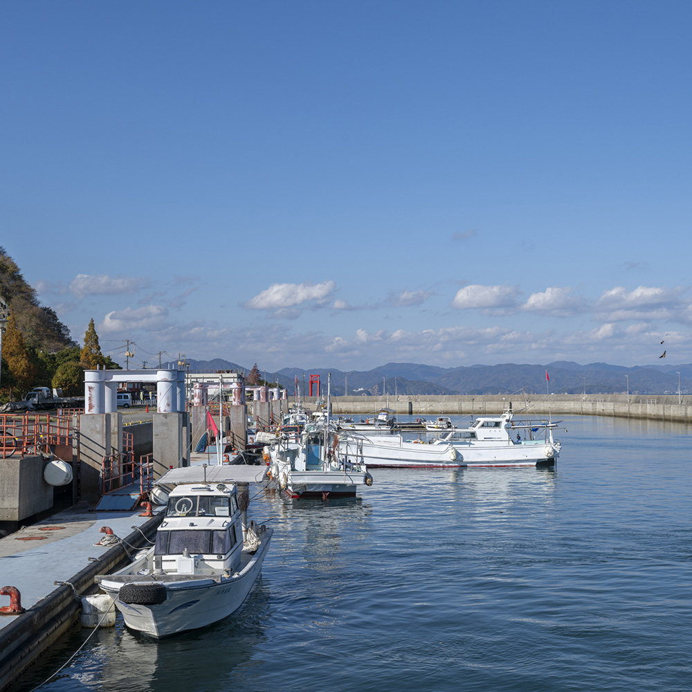 昭和62年まではあび漁があった